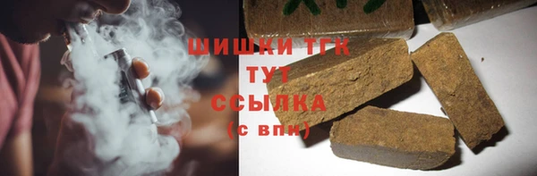 дмт Осинники