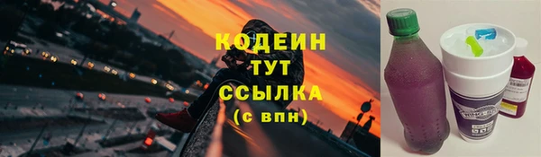 дмт Осинники