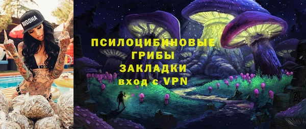 дмт Осинники