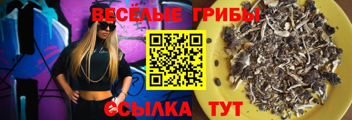 Псилоцибиновые грибы MAGIC MUSHROOMS  Псилоцибиновые грибы Magic Shrooms  закладки  Вход с VPN  Родники 